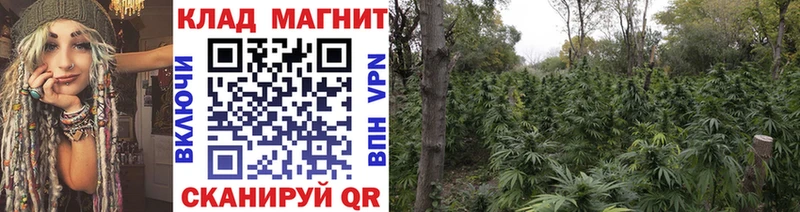 Как найти наркотики Вольск Cocaine  Alpha PVP  Марихуана 