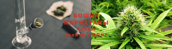 сатива Карпинск