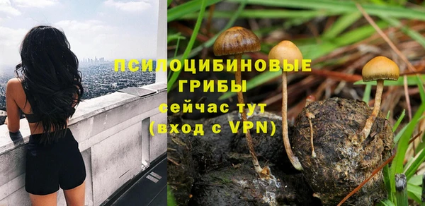 молекула духа Володарск