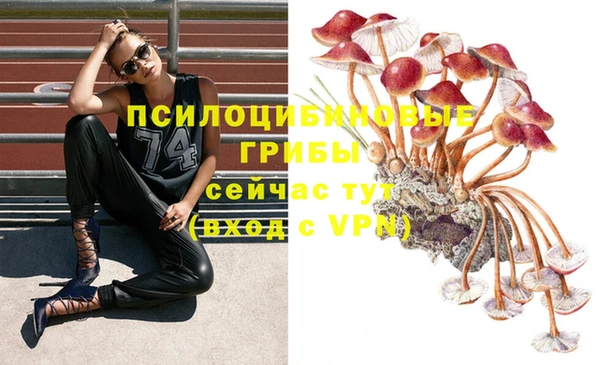Альфа ПВП Карталы