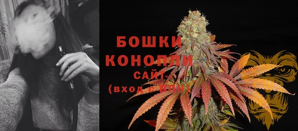 гашик Волосово