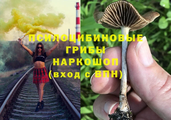 гашик Волосово