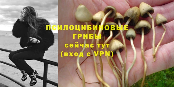 молекула духа Володарск