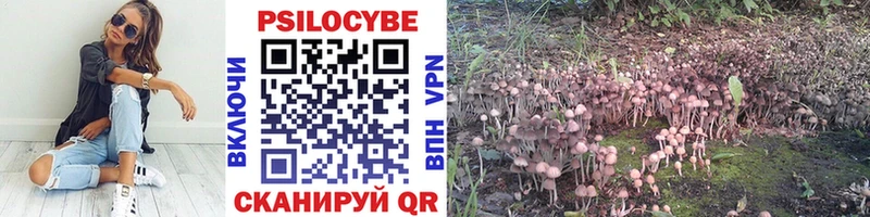 Псилоцибиновые грибы Magic Shrooms  где продают наркотики  Вольск 