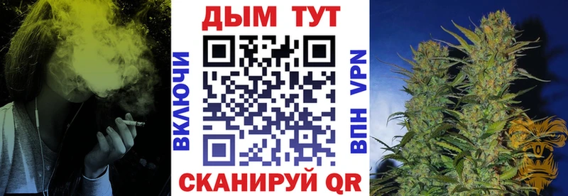 Бошки Шишки план  как найти   Вольск 